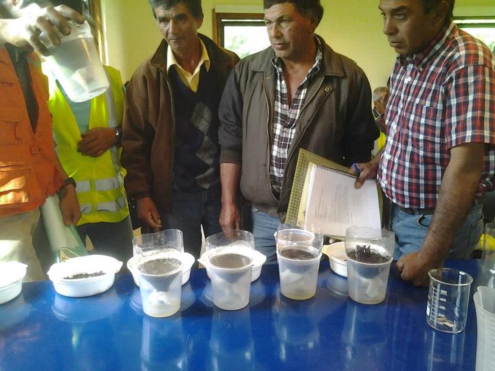 Curso Trabajadores Ancali