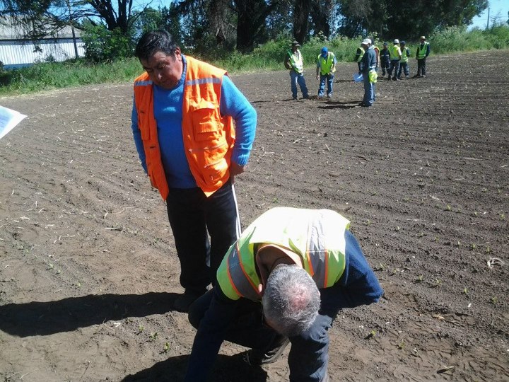 Curso Trabajadores Ancali