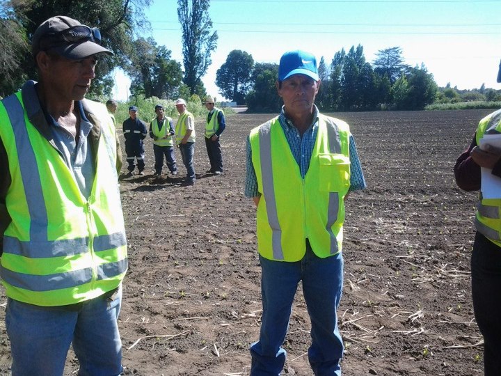 Curso Trabajadores Ancali