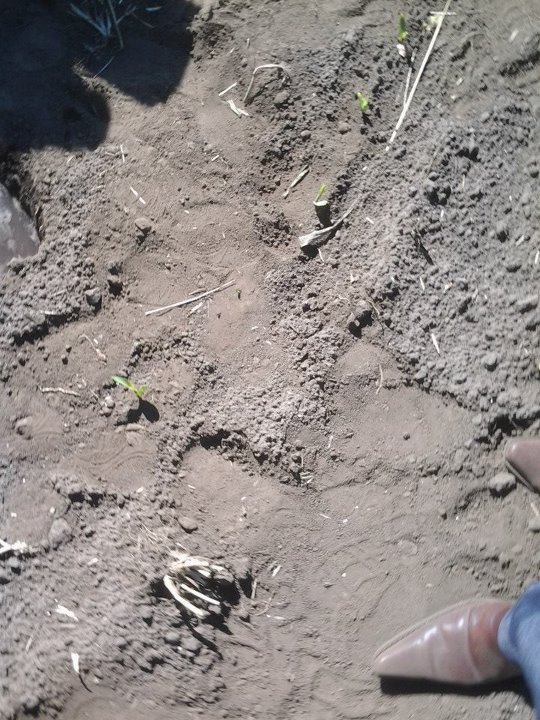 Curso Trabajadores Ancali