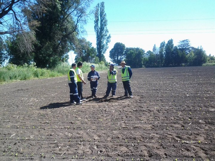 Curso Trabajadores Ancali