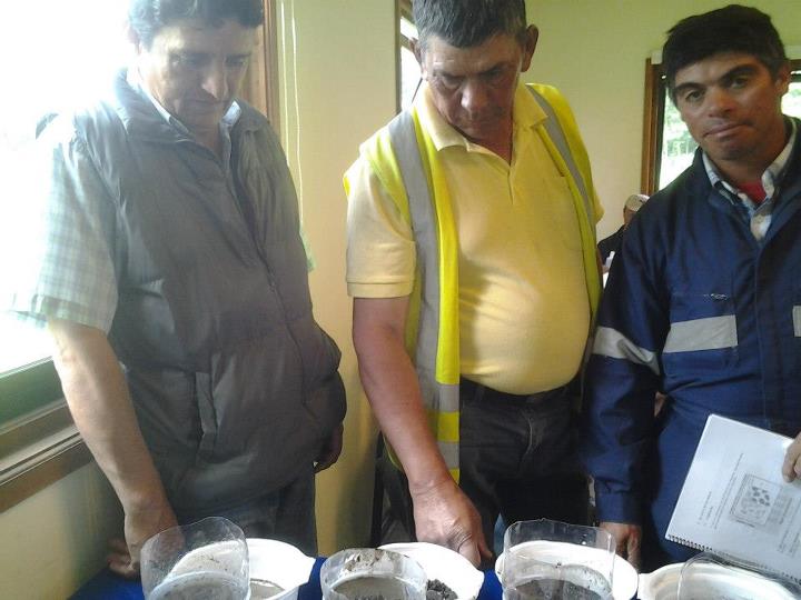 Curso Trabajadores Ancali