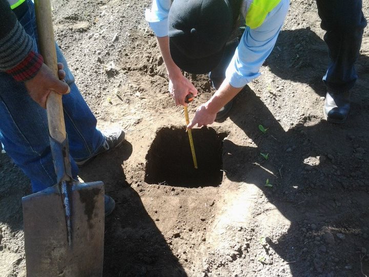 Curso Trabajadores Ancali