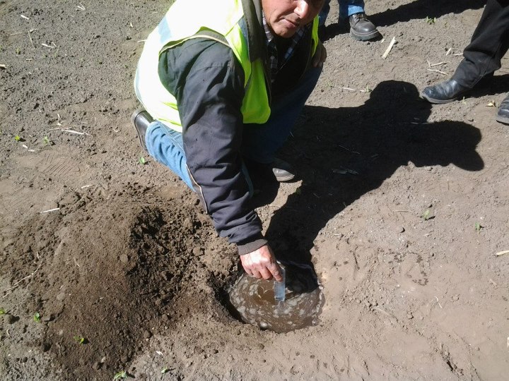 Curso Trabajadores Ancali