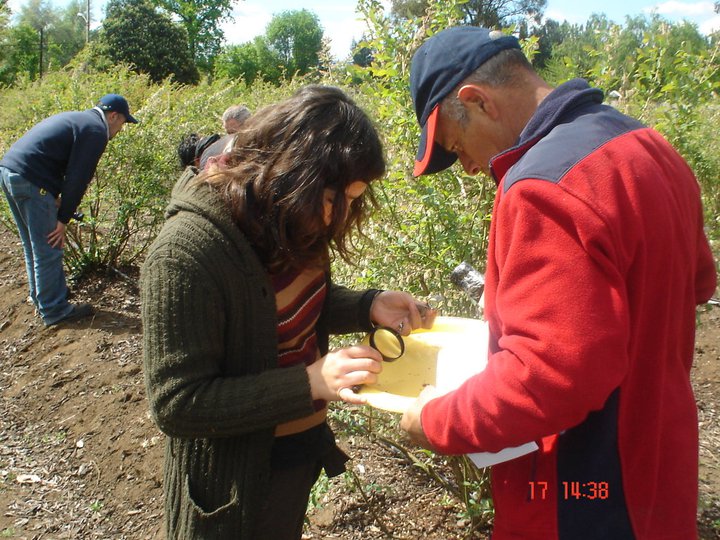Curso Monitoreo De Plagas