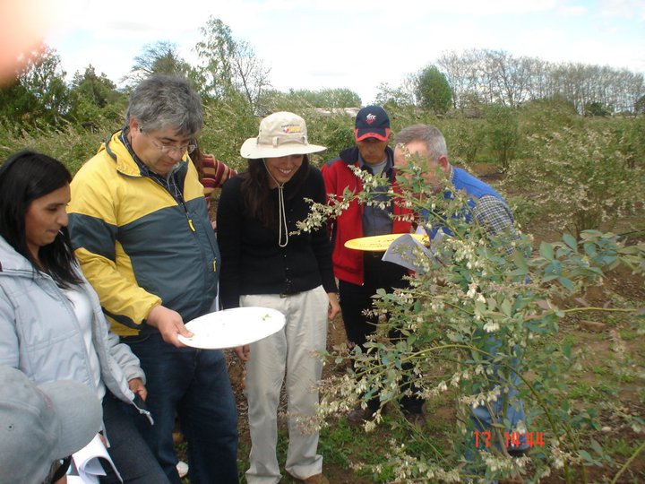 Curso Monitoreo De Plagas