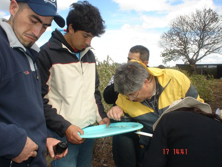 Curso Monitoreo de Plagas